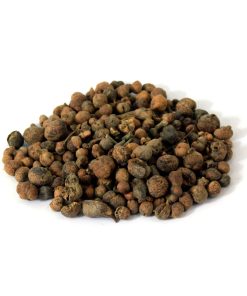 Australian Pine Tree Fruit (Mae Khurdo)