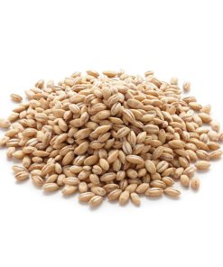 Barley (Joo)