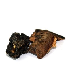 Betel Nut Flower (Gul Supari)