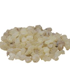 Black Dammar (Chandras)