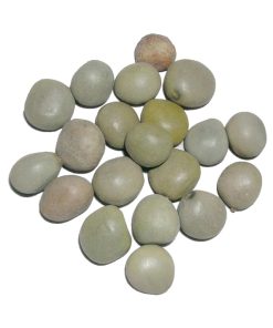 Bonduc Nut (Karanjoh)