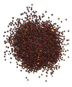 Brown Mustard (Sarson Zard)