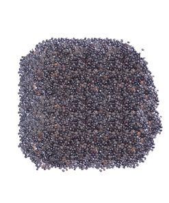 Chaksu Seeds (Chaksu)