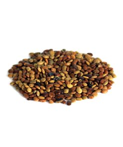 Chinese Chaste Tree Seeds (Tukhm-e-Sanbhalu)