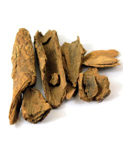 Common Tallow Laurel (Maida Lakdi)