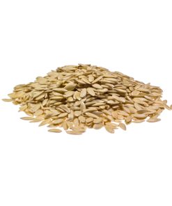 Cucumber Seeds (Tukhm-e-Khayareen)