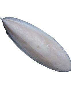 Cuttlefish Bone (Samandar Jhag)