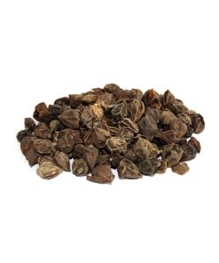 Dried Assyrian Plum (Sapistan Khushk