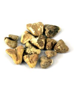 Dried Water Chestnuts (Singhara Khushk)