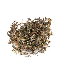 False Daisy (Bhangra)