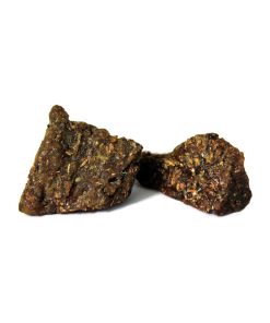 Gum Of Dates Tree (Gond Chohara)