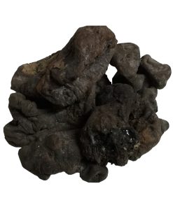 Gum Of Silk Cotton Tree (Gond Mocharas)