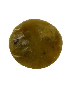 Gum Rosin (Ganda Behroza)