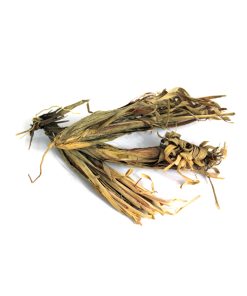 Izkher Roots (Beekh-e-Azkhir)