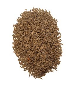 Lettuce Seeds (Tukhm-e-Kahu)