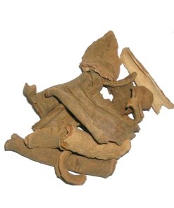 Lodh Tree (Lodh Pathani)