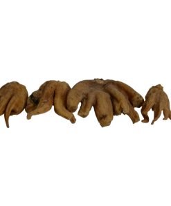 Marsh Orchid (Salab Panja)