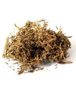 Monarch Redstem (Krand)