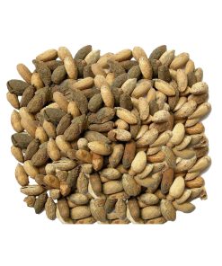Neem Seeds (Tukhm-e-Neem)
