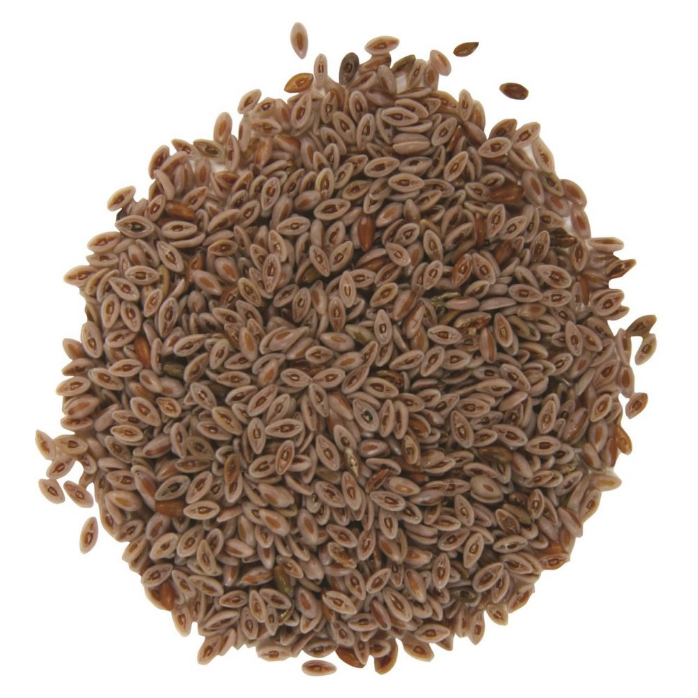 Psyllium Seed Husk (Ispaghol Muslim)