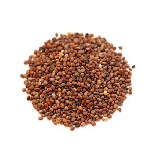 Radish Seeds (Tukhm-e-Mooli)