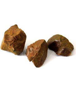 Rhubarb (Asarah Rewand)