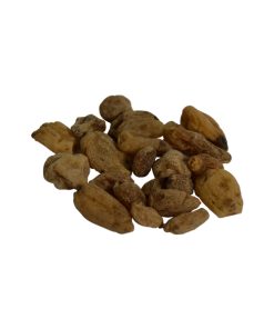 Salep Orchid (Salab Misri)