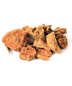 Silk Cotton Tree (Musli Senbhal)