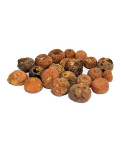 Smearwort (Zaravand Mudharij)