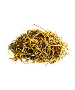 Spleenwort (Chitrak)