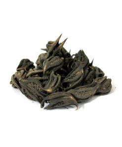 Stinging Nettle (Bicho Phal)