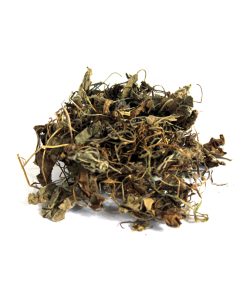 Sweet Violet (Gul-e-Banafsha)