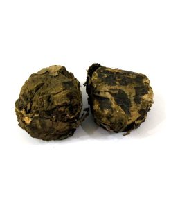 Tree Turmeric (Rasoot)