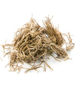 Vetiver (Khus)