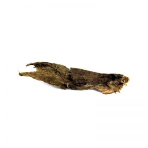 Walnut Tree Bark (Dandasa)